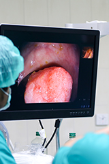 Quiénes Somos Gastroendoscopy